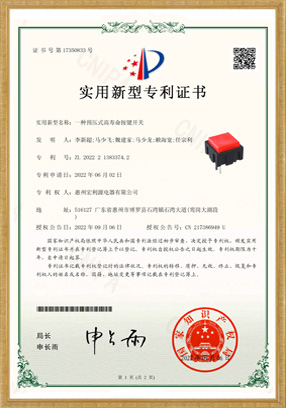 PB13實用新型專利開關