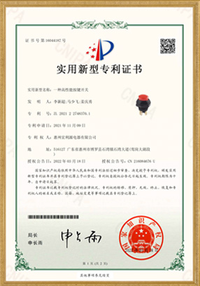 PA12開關實用新型專利證書